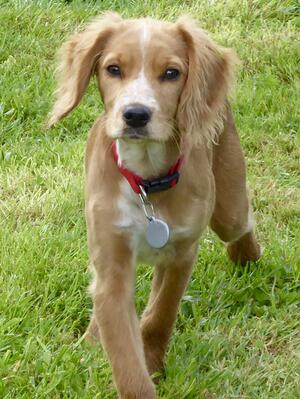 Aged 4 months
