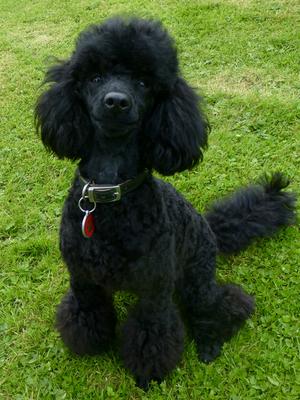Aged 14 months