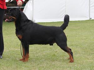 Sebastien