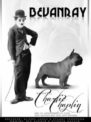 Bamabel Charlie Chaplin