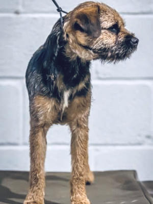 Erik at 8 months