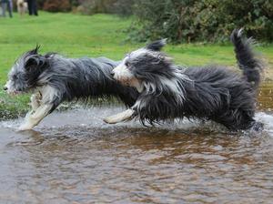 Lily and Magic having fun