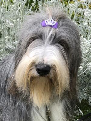 Princess Hedy