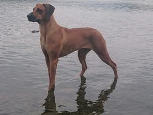 Day out at Derwent Water