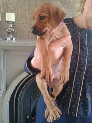 This little girl is Miss cute as a button