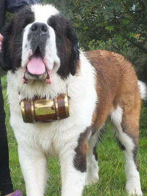 Gino aged 20 months