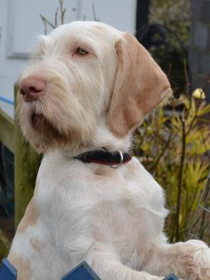 6 months old