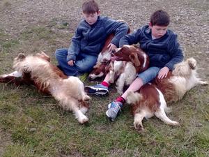 some of the dogs and the boys!