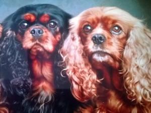 Posy, Hettie's mum (the ruby on the right, )