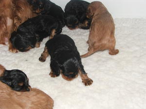 the xmas day babies!