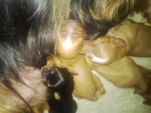 new born babies