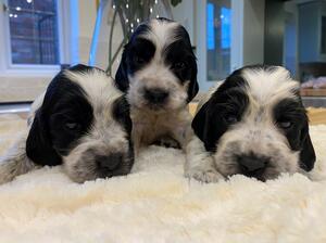growing nicely, 3 weeks old