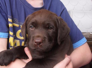 Martha as a puppy herself