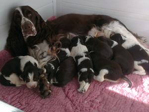 3 weeks old, very proud mum!