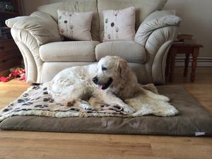 Amba @ 14yrs 8mths
