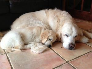 Grace cuddling Murphy (13yrs)