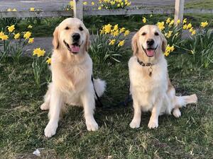 Hattie with her son Bertie - April 22