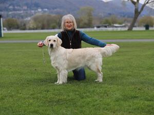 Scarlett (17 mths) @ her first show URC