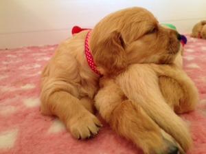 Heidi @3 weeks