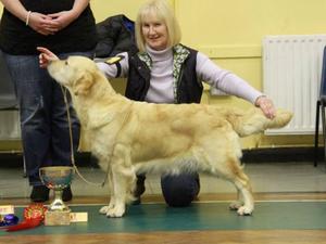 Phoebe winning BIM at Welwyn & Hatfield Nov 14
