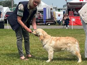3 Counties Ch Show - 2nd qualifying for Crufts 24