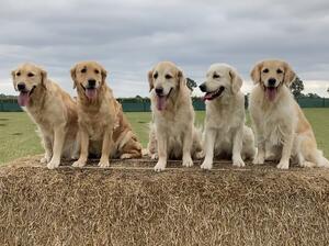Lottie, Maisy, Grace, Scarlett & Hattie - Sept 21