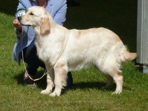 Hattie @ 9 months
