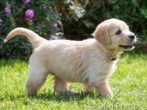 Lottie & 6 weeks