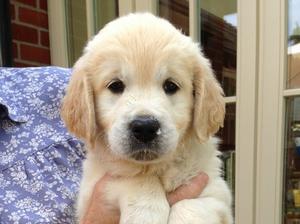 Grace - nearly 7 weeks