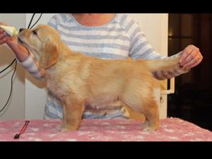 Maisy @ 6.5 weeks
