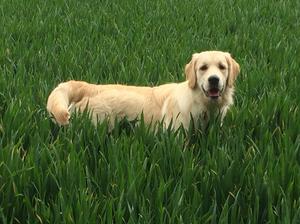 Lewis @ 6 months