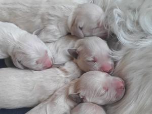 Snoozing