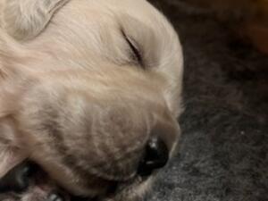 dreaming of being a big boy!