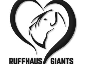 RUFFHAUS Giant Schnauzers