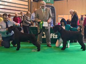 Purdey and Rufus Crufts 2017