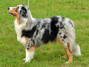 Della
