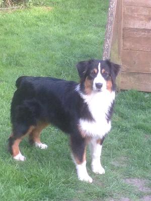 Bo 6 Months