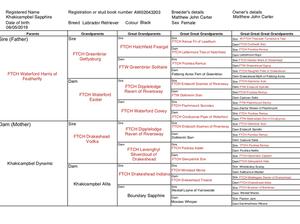 Dams (Sally) pedigree