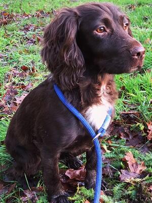 East Lake Purdey