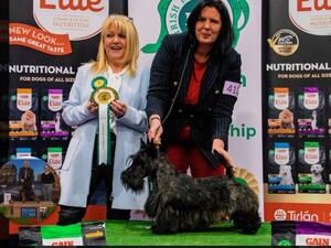 Junior Stake Reserve Winner 2023 Combined Canine C