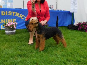 July 2019 at 20 months