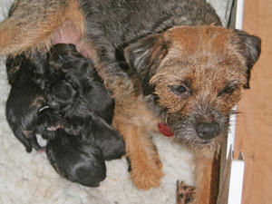 Just a few minutes old...