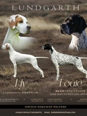 Lundgarth Advert