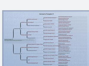 5th Generation Pedigree