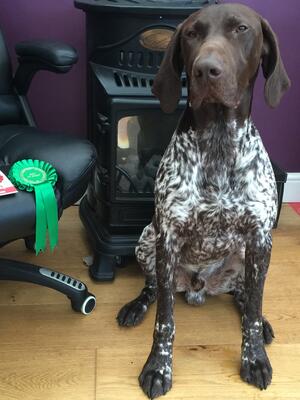 Pleased with himself
