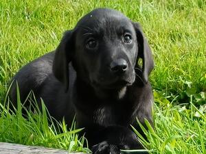 Beautiful boy!