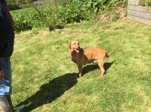 Gameflight Penny Lane 