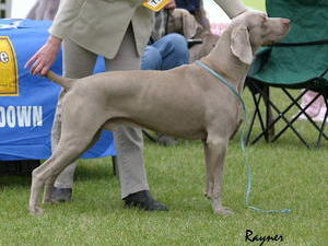 ANSONA Country Fair