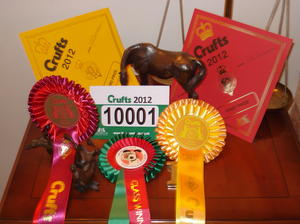 The rosettes - Post Graduate 3rd + KCGCDS 1st