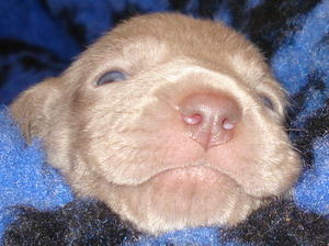 All snuggled in